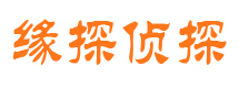 成武情人调查